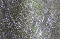 Hamstreet fibreglass roof work